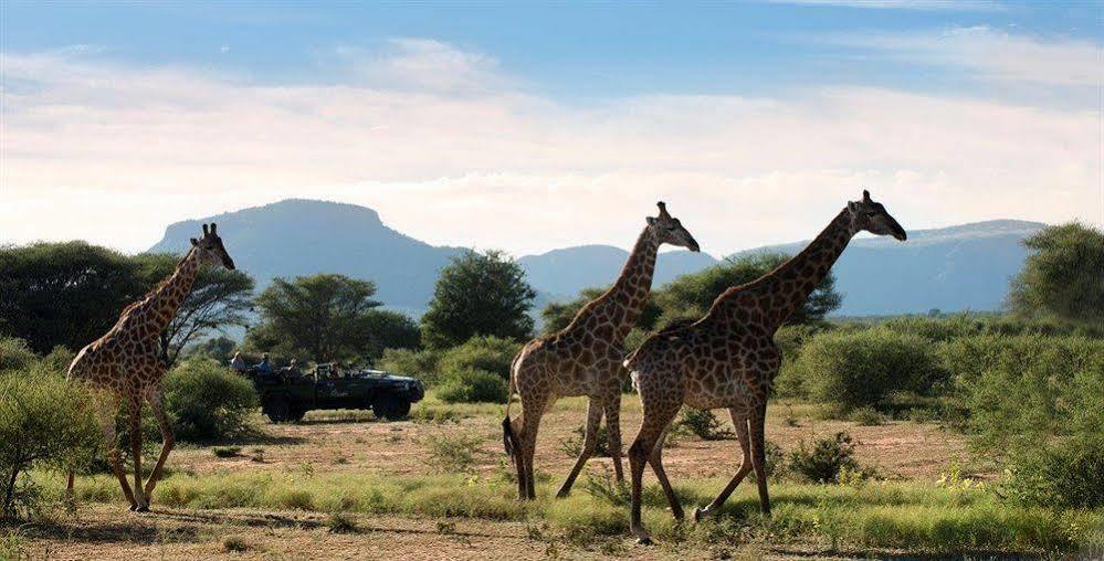 Marakele National Park Marataba Safari Co酒店 外观 照片